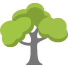 Lilburn Tree Trimming