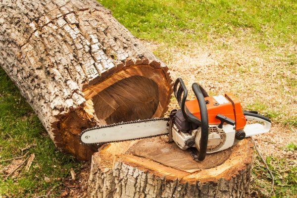 Tree Cutting Service in Lilburn