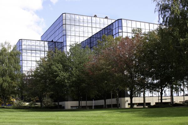 Commercial Tree Trimming in Lilburn